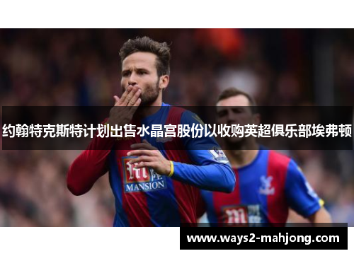 约翰特克斯特计划出售水晶宫股份以收购英超俱乐部埃弗顿